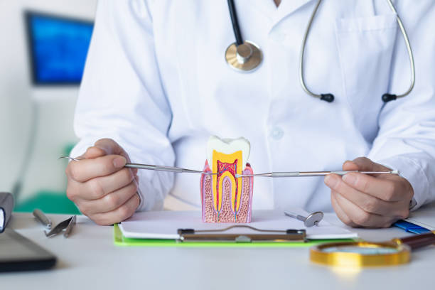 Best Broken or Cracked Tooth Emergency Dentist in Anza, CA